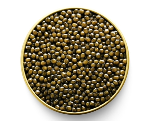 Altima Caviar